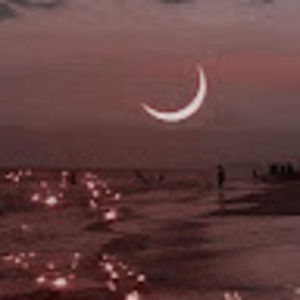 Meet your Posher, Mal